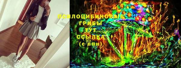 бошки Богданович