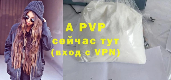 спиды Богородицк