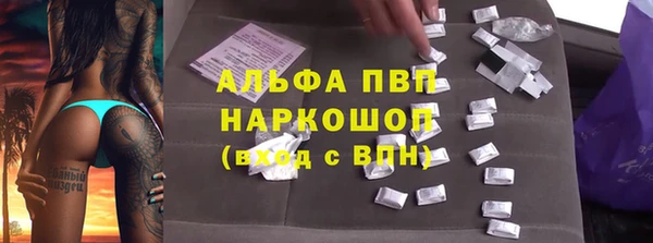 спиды Богородицк