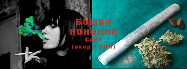 бошки Богданович