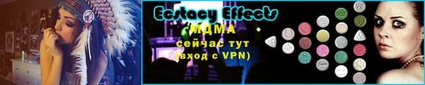 спиды Богородицк