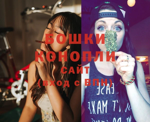 спиды Богородицк