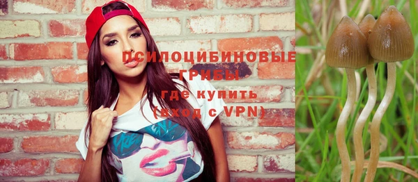 бошки Богданович