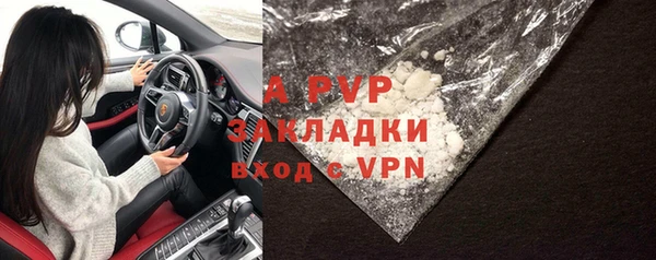 бошки Богданович