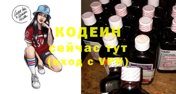 спиды Богородицк
