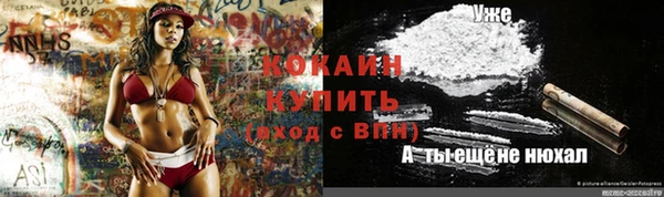 бошки Богданович