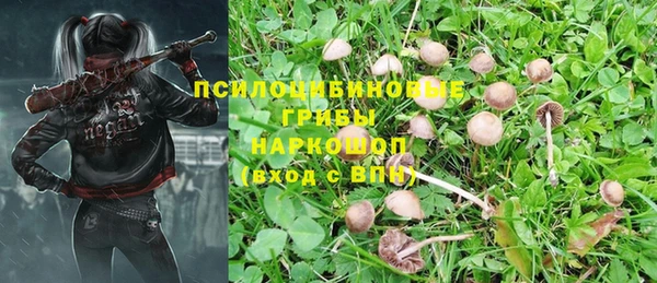 бошки Богданович