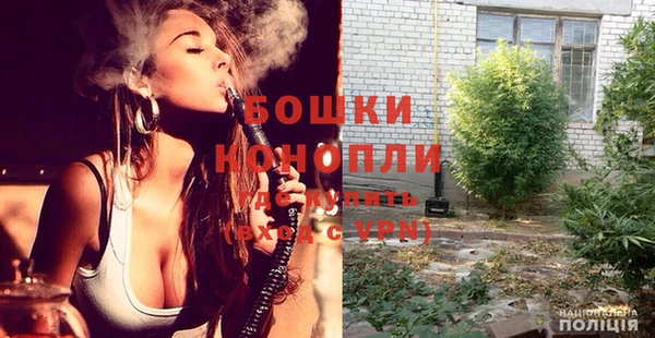 спиды Богородицк