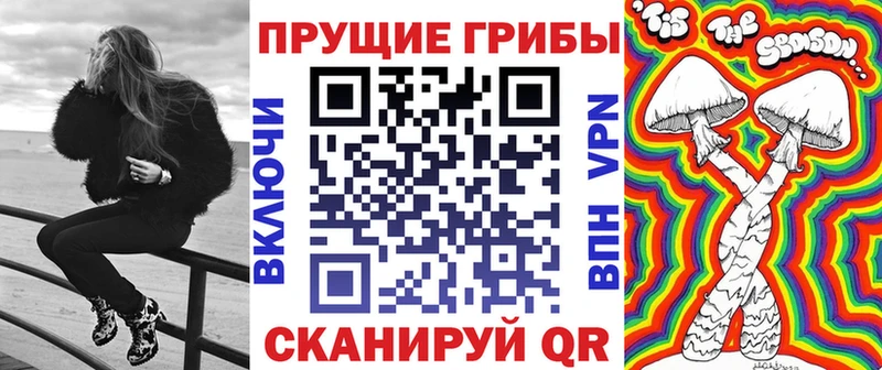 Галлюциногенные грибы мицелий  мега ТОР  Сланцы 